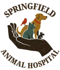 Springfield Animal Hospital